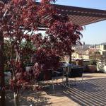 pergola e zona living con acero rosso